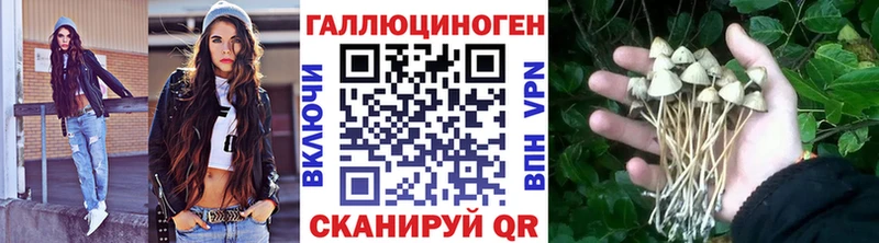 где можно купить Сясьстрой сайты даркнета официальный сайт Галлюциногенные грибы прущие грибы