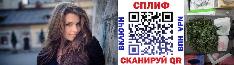 ссылка на мегу как войти  дарнет шоп  Сясьстрой  Шишки марихуана тримм 